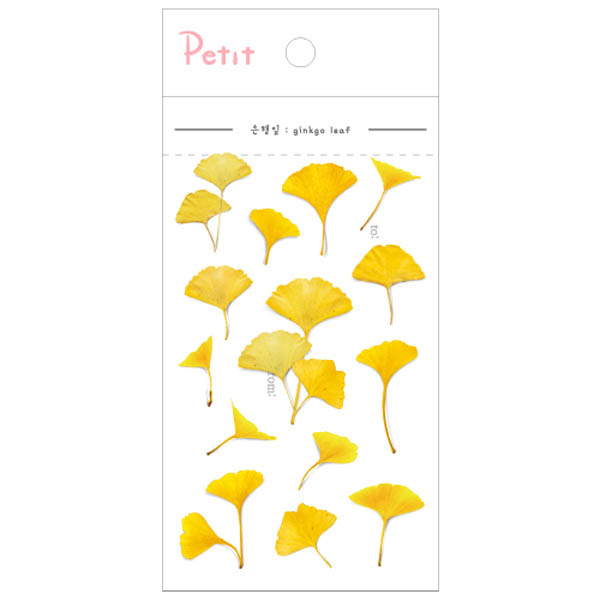 PD917 Ginkgo Leaf