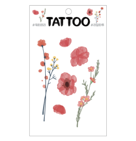 TS021 Petit Tattoo (Waxflower)