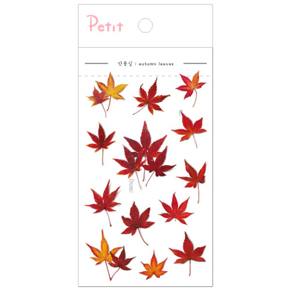 PD916 Autumn Leaves