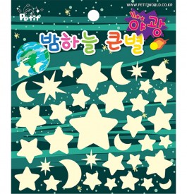 da5595 snow big star  